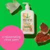 HEMPZ Body Lotion Pink Pomelo & Himalayan Sea Salt Daily Moisturizing Cream, 17 Fl Oz(Citrine Crystal & Quartz)