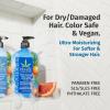 Hempz Biotin Conditioner – Sweet Pineapple & Honey Melon – For Thin/Fine Hair Growth & Strengthening of Dry, Damaged and Color Treated Hair, Hydrating, Softening, Moisturizing – 33.8 Fl OZ(Peach Grapefruit 33.8 Oz)