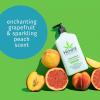 Hempz Body Lotion – Sweet Pineapple & Honey Melon + Coconut & Watermelon Daily Moisturizing Cream, Shea Butter, Aloe – Skin Care Products, Hemp Seed Oil – 17 fl oz, 2-Pack Bundle(Grapefruit & Sparkling Peach)