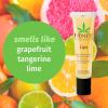Hempz Original Lip Balm, 3-Pack, travel essential for dry cracked lips, ultra hydrating gloss, .44 oz