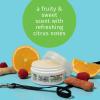 Hempz Petz Dog Paw Balm, Creamy Citrus Orange & Red Raspberry Herbal Protective Balm, 2 oz.(Creamy Citrus Orange & Red Raspberry)