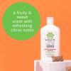 Hempz Petz Dog Shampoo, Creamy Citrus Orange & Red Raspberry Herbal Deodorizing Cleanser, 17 oz.(Citrus and Raspberry (Deodorizing))