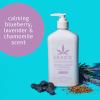 Blueberry Lavender & Chamomile Herbal Body Moisturizer, 17oz(17 Fl Oz (Pack of 1))