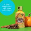 HEMPZ Body Lotion Limited Edition – Pumpkin Spice & Vanilla Chai Daily Moisturizing Cream, Shea Butter Hand and Body Moisturizer – Hemp Lotion – Skin Care Products, Hemp Seed Oil – Mini, 2.25 oz.(2.25 Fl Oz (Pack of 1))