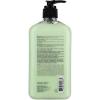 Hempz Body Moisturizer Green Tea and Asian Pear 17 Ounce Pump (500ml) (Pack of 3)