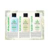 Hempz Healthy Hydration Triple Moisture, Age Defying, & Original (2.25 Oz, 3-Pack) Body Moisturizing Lotion Gift Set – Mini Scented Travel Cream Skin Care for Women & Men, Made with Shea Butter(Floral Banana)