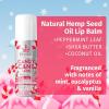Hempz Limited Edition Candy Cane Lane Exfoliating Body Scrub (4 Oz) – Yummy Holiday Scented Sugar Body Scrub for Shower & Bath, Cozy Candy Cane Scented Sugar Scrub Exfoliant for Women & Men(Lip Balm)