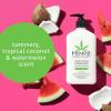 Hempz Original Herbal Body Moisturizer + Fresh Coconut & Watermelon Moisturizer + Blushing Grapefruit & Raspberry Crème Herbal Body Moisturizer, 17 Fl Oz, 3 Pack Bundle – Vitamin Infused Lotion