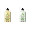 Hempz Body Lotion – Sweet Pineapple and Honey Melon – Daily Moisturizing Cream – 17oz & Body Lotion – Green Tea & Asian Pear Daily Moisturizing Cream, Shea Butter Body Moisturizer