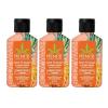 Hempz Mini Body Wash, 3-Pack, Sweet Pineapple & Honey Melon, travel essentials, small body wash, 2.25 oz