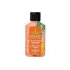 Hempz NEW Mini Body Wash, Sweet Pineapple & Honey Melon Travel Size Shower Gel, 2.25 oz.(Sweet Pineapple & Honey Melon)