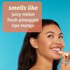 Sweet Pineapple & Honey Melon Herbal Lip Sunscreen .15 oz. SPF 30(0.15 Fl Oz (Pack of 1))