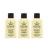 Pack of 3 – HEMPZ Sweet Pineapple & Honey Melon (2.25 oz each) Lotion